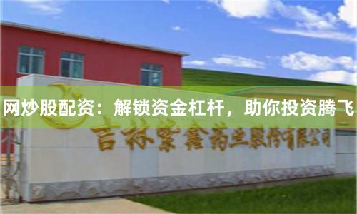 网炒股配资：解锁资金杠杆，助你投资腾飞