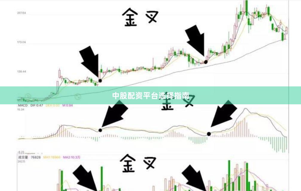 中股配资平台选择指南