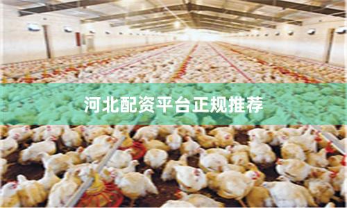 河北配资平台正规推荐